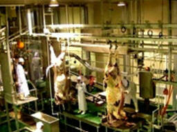 Оборудование для мясопереработки