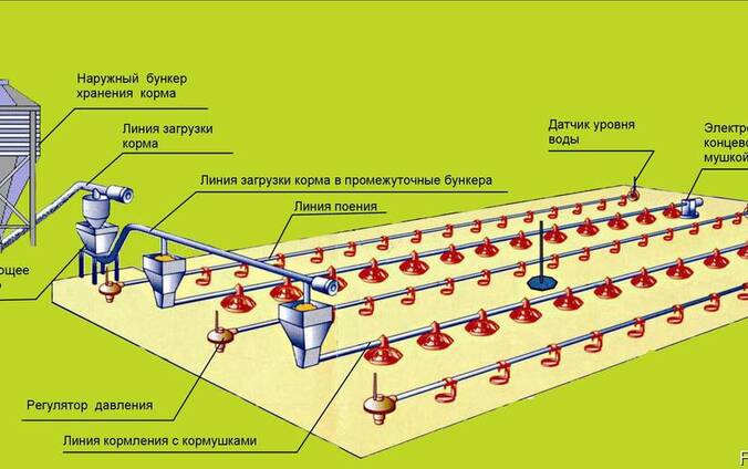 Оборудование для напольного выращивания бройлеров
