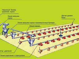 Оборудование для напольного выращивания бройлеров