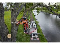 Обрезка деревьев, кронирование, покос травы любой сложности