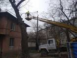 Обрезка деревьев, кронирование, покос травы любой сложности - фото 1