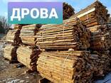 Обзел. Дрова. Недорого. Чернигов. - фото 3