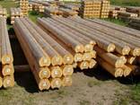 Pine and Oak - Lumber and Timber from Ukraine