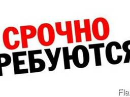 Официальное трудоустройство в Литве.