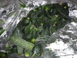 Огурец. ОПТ.