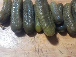 Огірки солоні