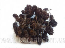 Ольха черная шишки 500 грамм