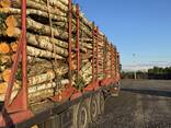Оптовий продаж дров лісовозами без посередників - фото 2