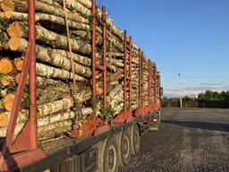 Послуги з розліснення ділянок під дрова | Wooden West