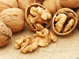 Walnuts - фото 1
