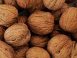 Ореховое масло - фото 2