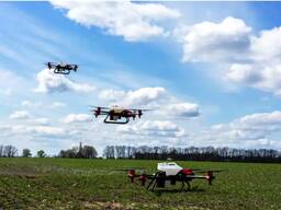 Оренда дрона-обприскувача для хімобробки кукурудзи
