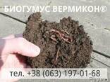 Органическое удобрение Биогумус Вермикон® - фото 1