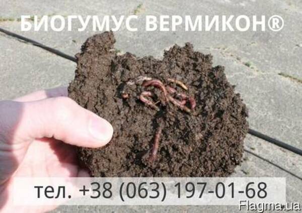 Органическое удобрение Биогумус Вермикон®