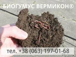 Органическое удобрение Биогумус Вермикон®