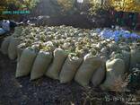 Органическое удобрение Перегной в мешках Киев