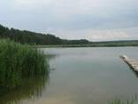 Организация рыбалки за городом на базе отдыха - фото 1