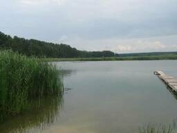 Организация рыбалки за городом на базе отдыха