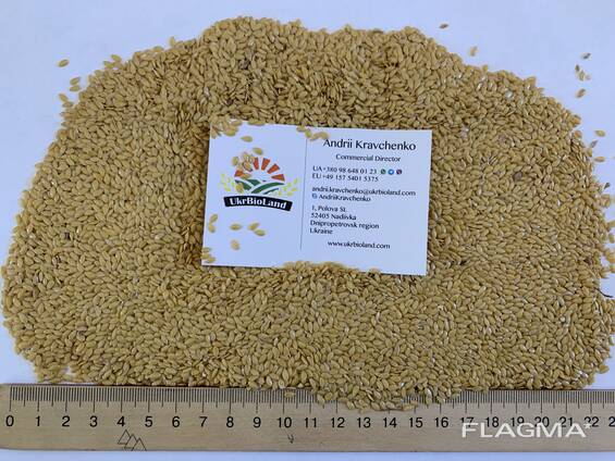 Органічний золотистий льон від виробника