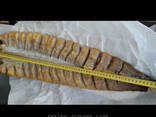 Осетр балык вяленый и х/к - фото 2