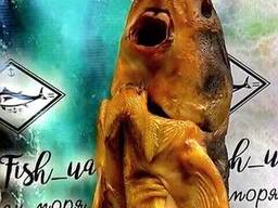 Осетр тушка холодного копчения