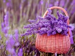 Отдушка для кислой среды Лаванда, 1 литр