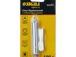 Отвес строительный 100г Sigma (8019411)