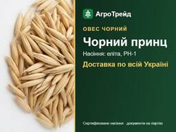 Овес чорний Чорний принц: продаж насіння, еліта, РН-1