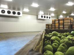 Холодильна камера для зберігання капусти