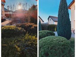 Озеленение и благоустройство территории