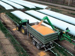 Пакування зерна в полімерні рукава