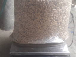 Паливні гранули