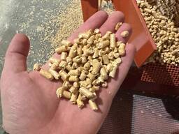 Паливна гранула