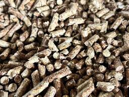 Паливна гранула (пеллета)