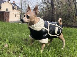 Памятные скульптуры домашних питомцев