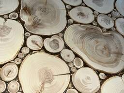 Панно з ялівцю