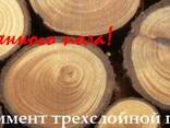 Паркетная доска дуб, ясень, мербау, орех в Запорожье
