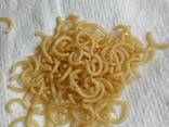 Pasta Дурум макаронные изделия твердых сортов весовые - фото 1
