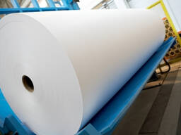 Pe coated Paper Roll