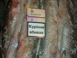 Пеленгас