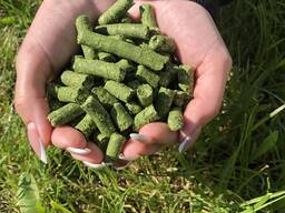 Пелета кормова люцерни/ Alfaalfa pellets