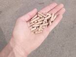 Пеллеты А1, топливные гранулы сосновые (pellets) диаметром 6ми - фото 3