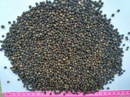 Перець чорний горошком Аsta 500