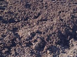 Перегной крупно рогатого скота