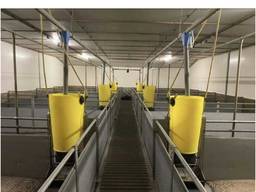 Перегородки для відгодівлі з годівницями Гроба