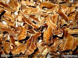 Перепонка грецкого ореха