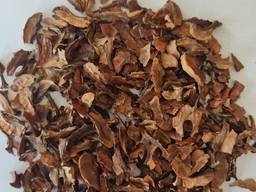 Перепонка (перегородка) грецкого ореха