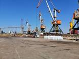 Перевалка и фасовка удобений(и др. грузов) в порту Черноморск