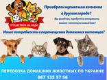 Перевозка домашних животных по Украине - фото 1