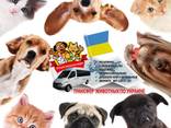 Перевозка домашних животных по Украине - фото 3